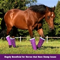 UV Protection Horse Leg Boots Breathable Mesh PVC Equine Guards Insect-Repellent Wraps Reduced Fatigue Equestrian Gear - Purple